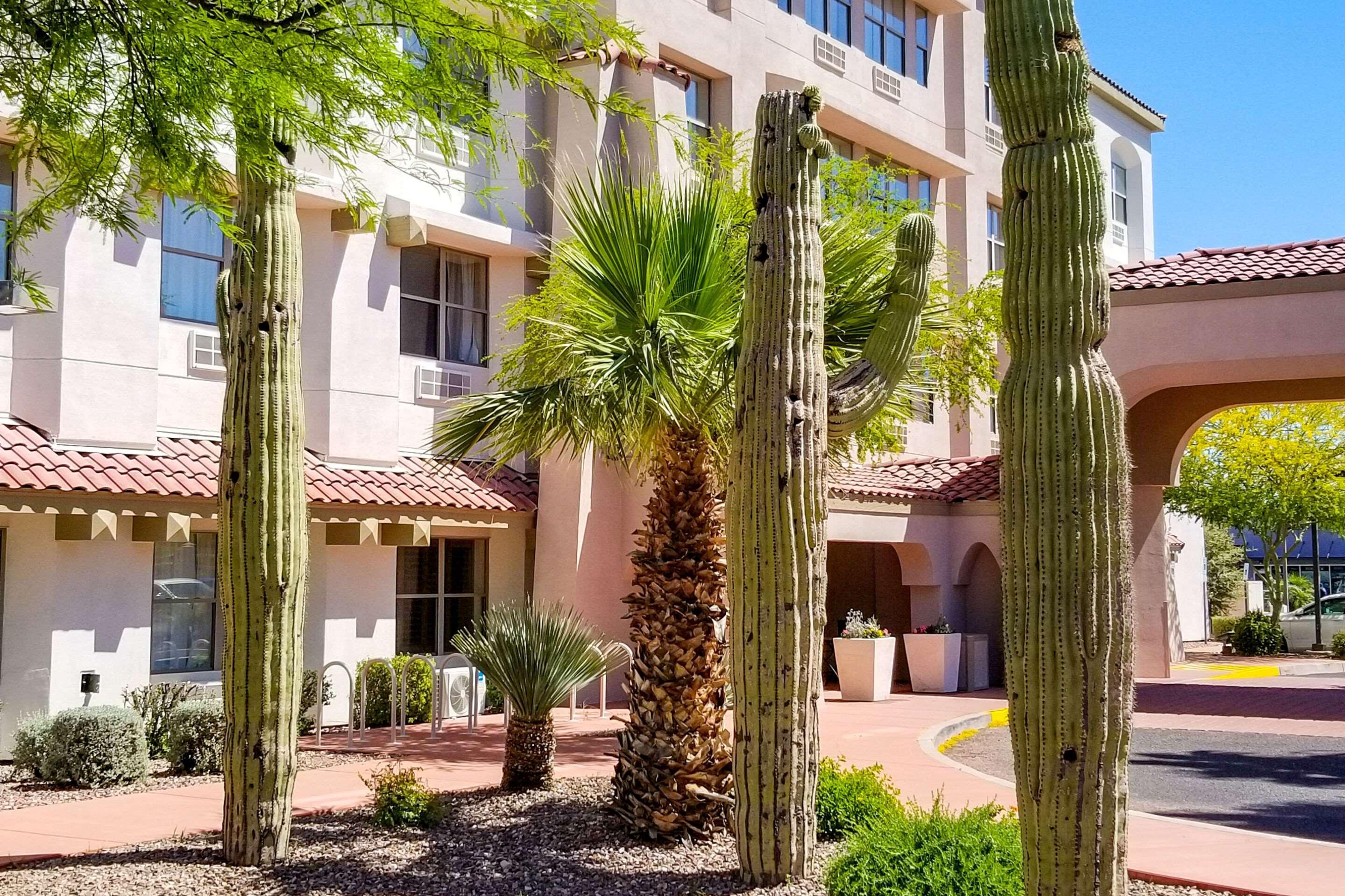 Comfort Inn & Suites Tempe Phoenix Sky Harbor Airport Bagian luar foto