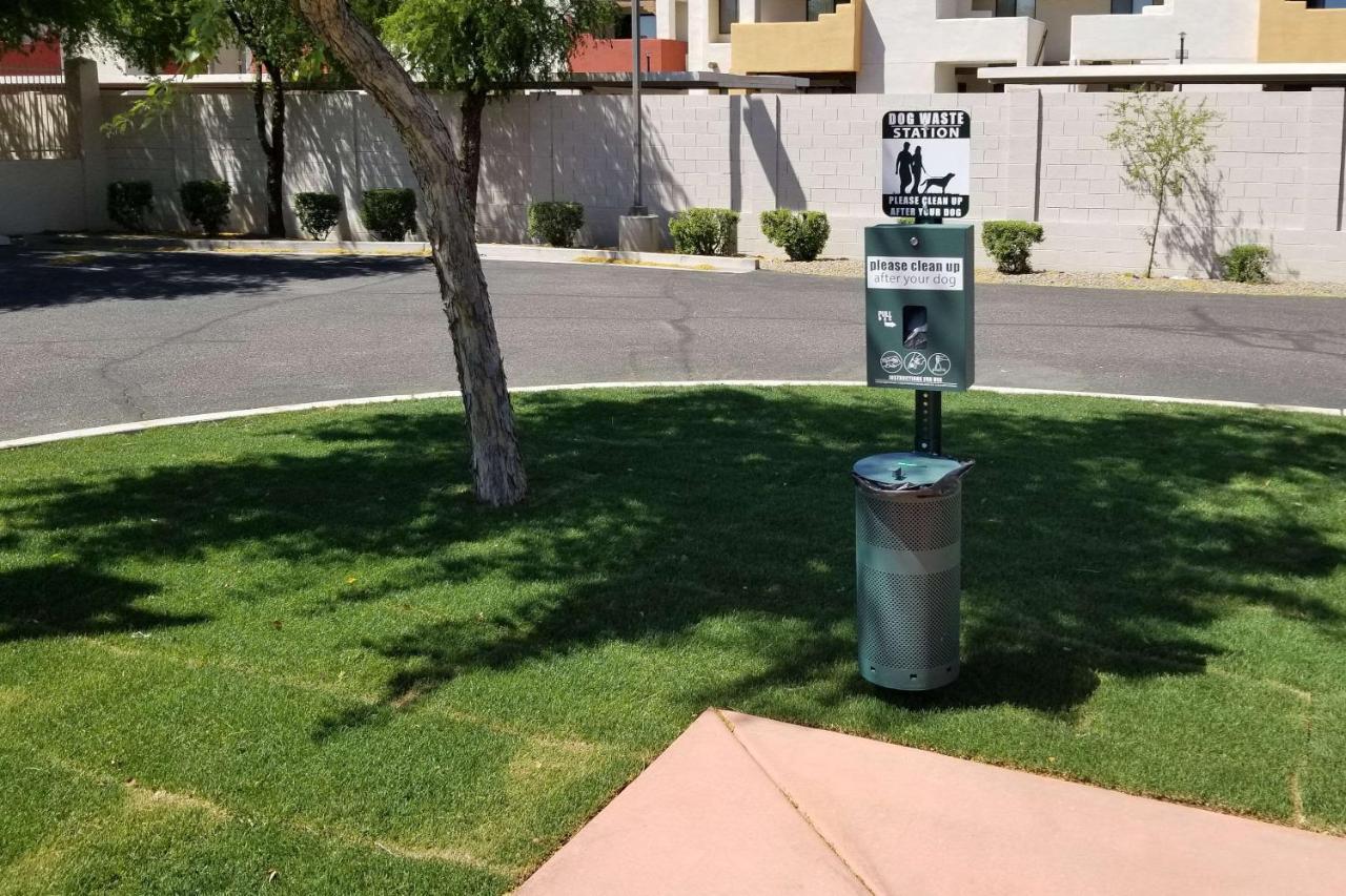 Comfort Inn & Suites Tempe Phoenix Sky Harbor Airport Bagian luar foto